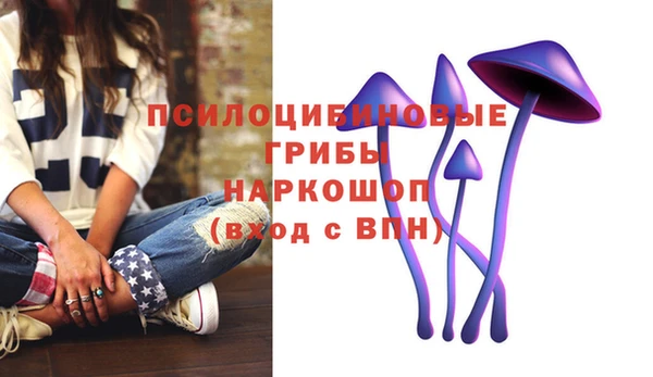 а пвп мука Касимов