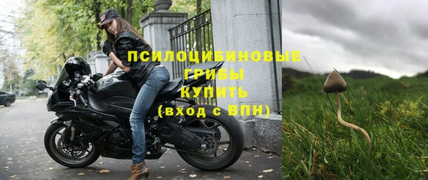 а пвп мука Касимов