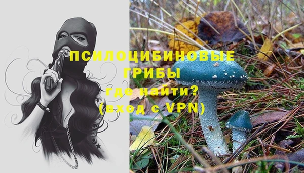 спайс Козельск