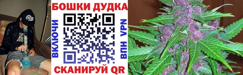 как найти наркотики  Красный Кут  Марихуана индика 